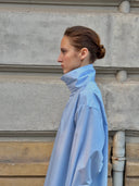 Camisa azul