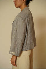 Blazer crop 059
