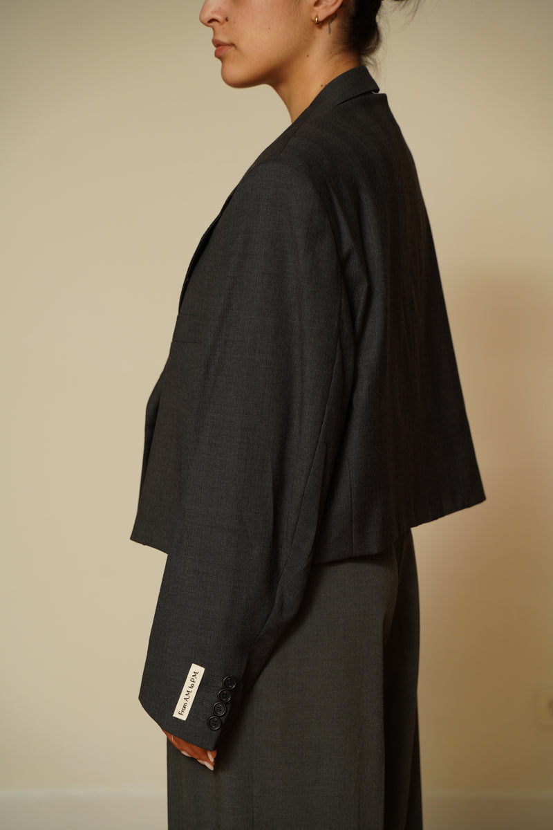 Blazer crop 049