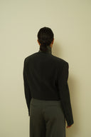 Blazer crop 010