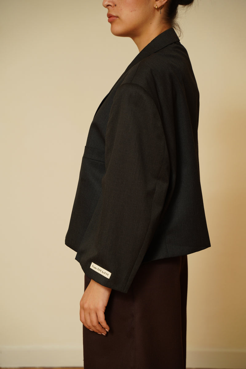 Blazer crop 055