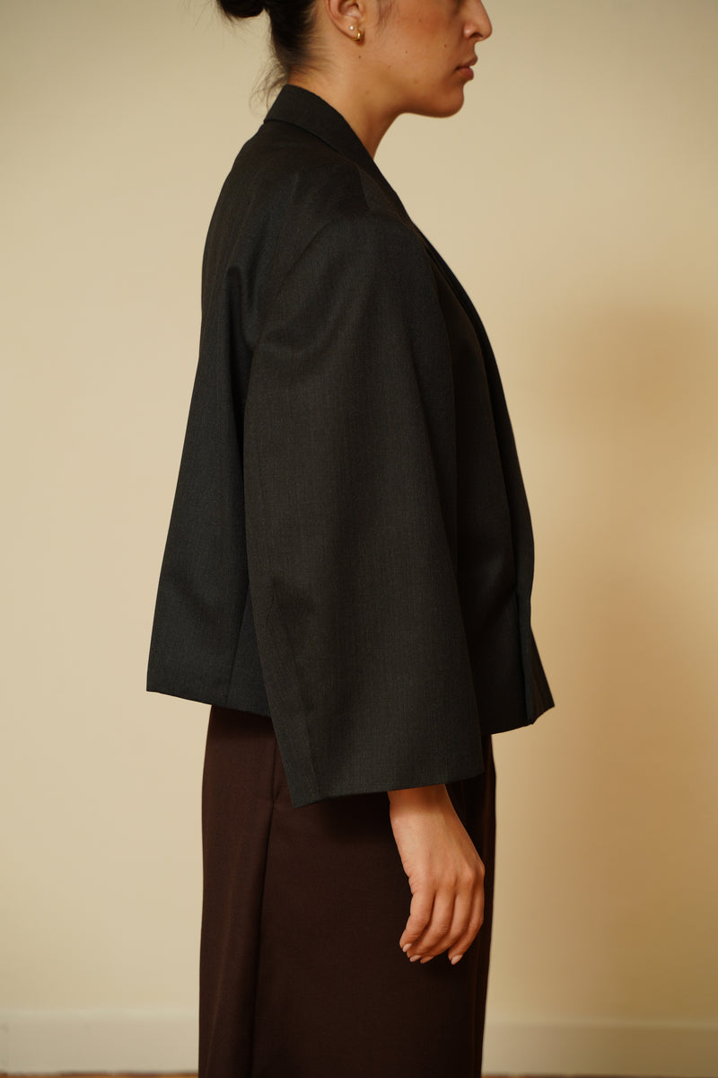 Blazer crop 055