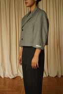 Blazer crop 069