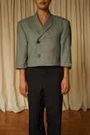Blazer crop 069
