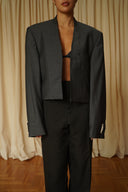 Blazer crop 048