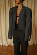 Blazer crop 048
