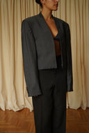 Blazer crop 048