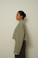 Blazer crop 001