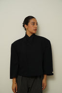 Blazer crop 003