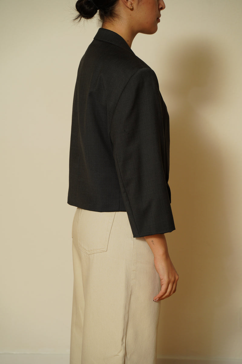 Blazer crop 057