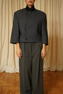 Blazer crop 070