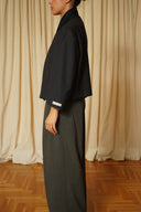 Blazer crop 079