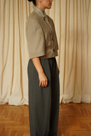 Blazer crop 078