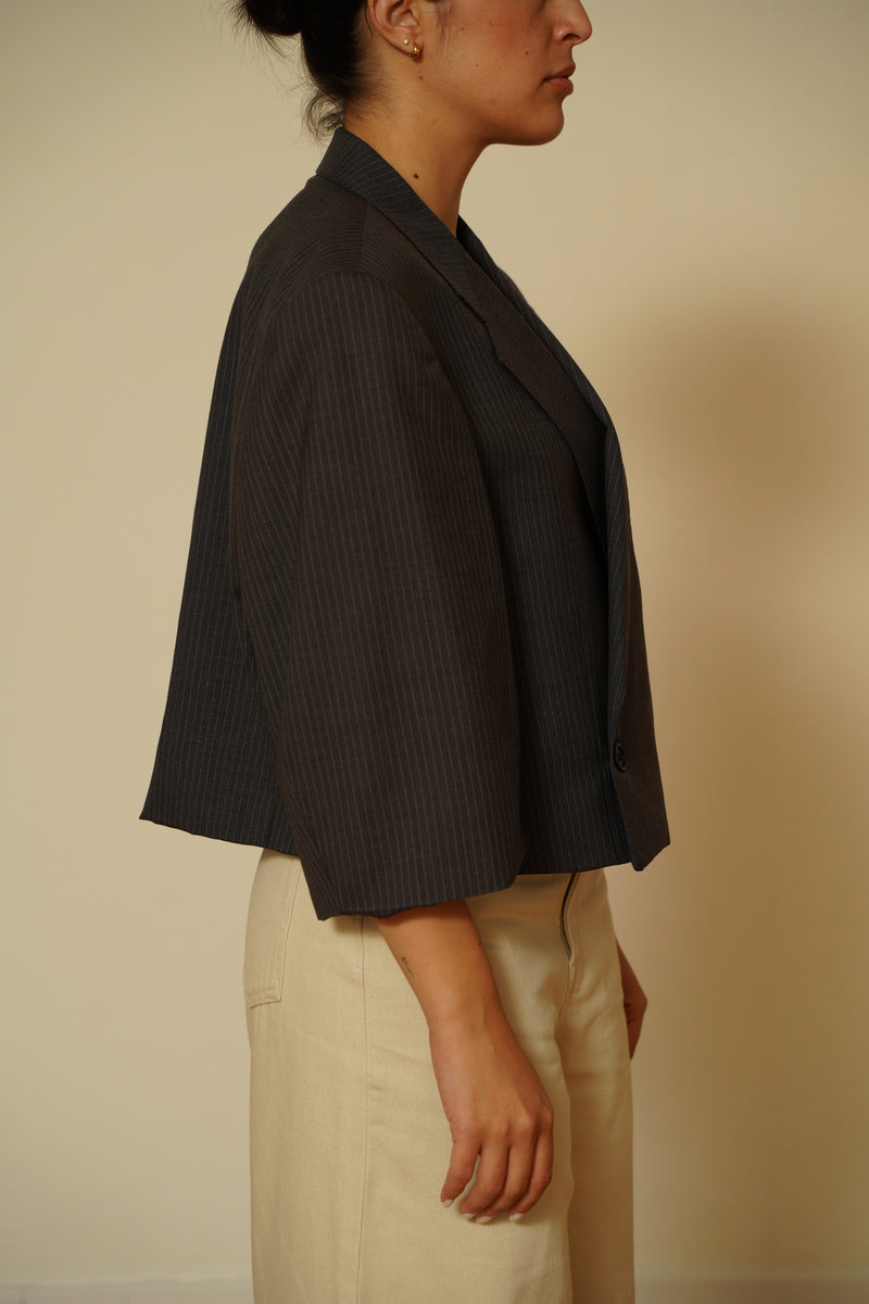 Blazer crop 062