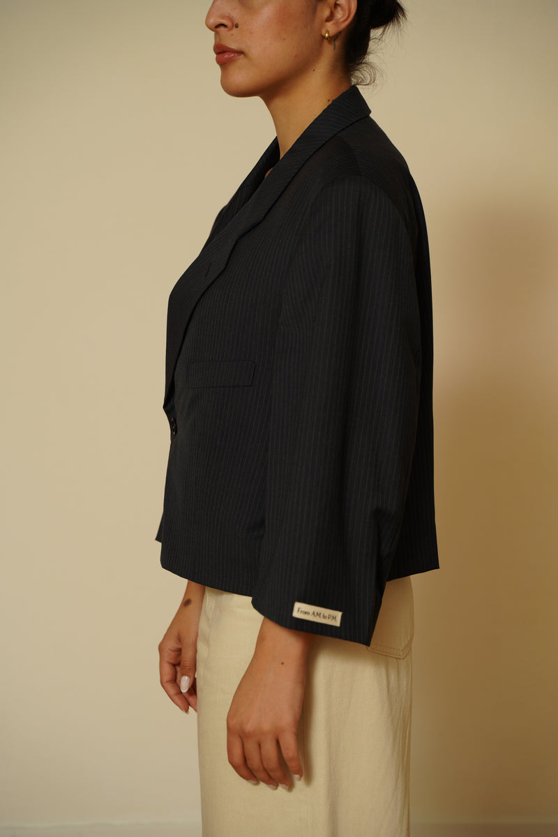 Blazer crop 061