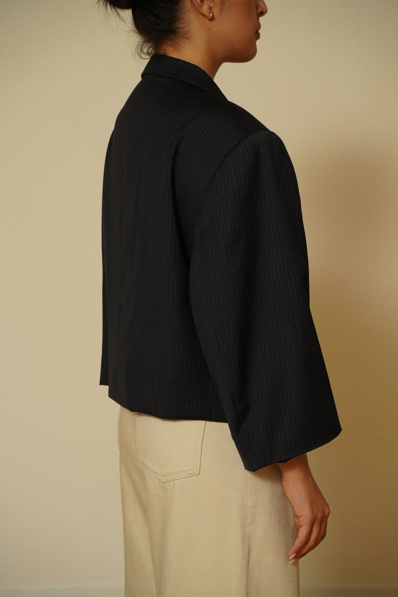 Blazer crop 061
